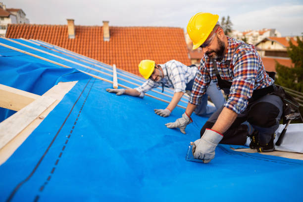 Best Gutter Installation and Roofing  in Mount Zion, GA