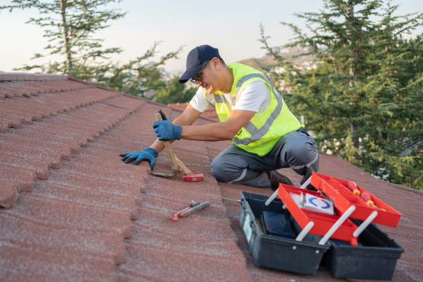 Best Metal Roofing Contractor  in Mount Zion, GA
